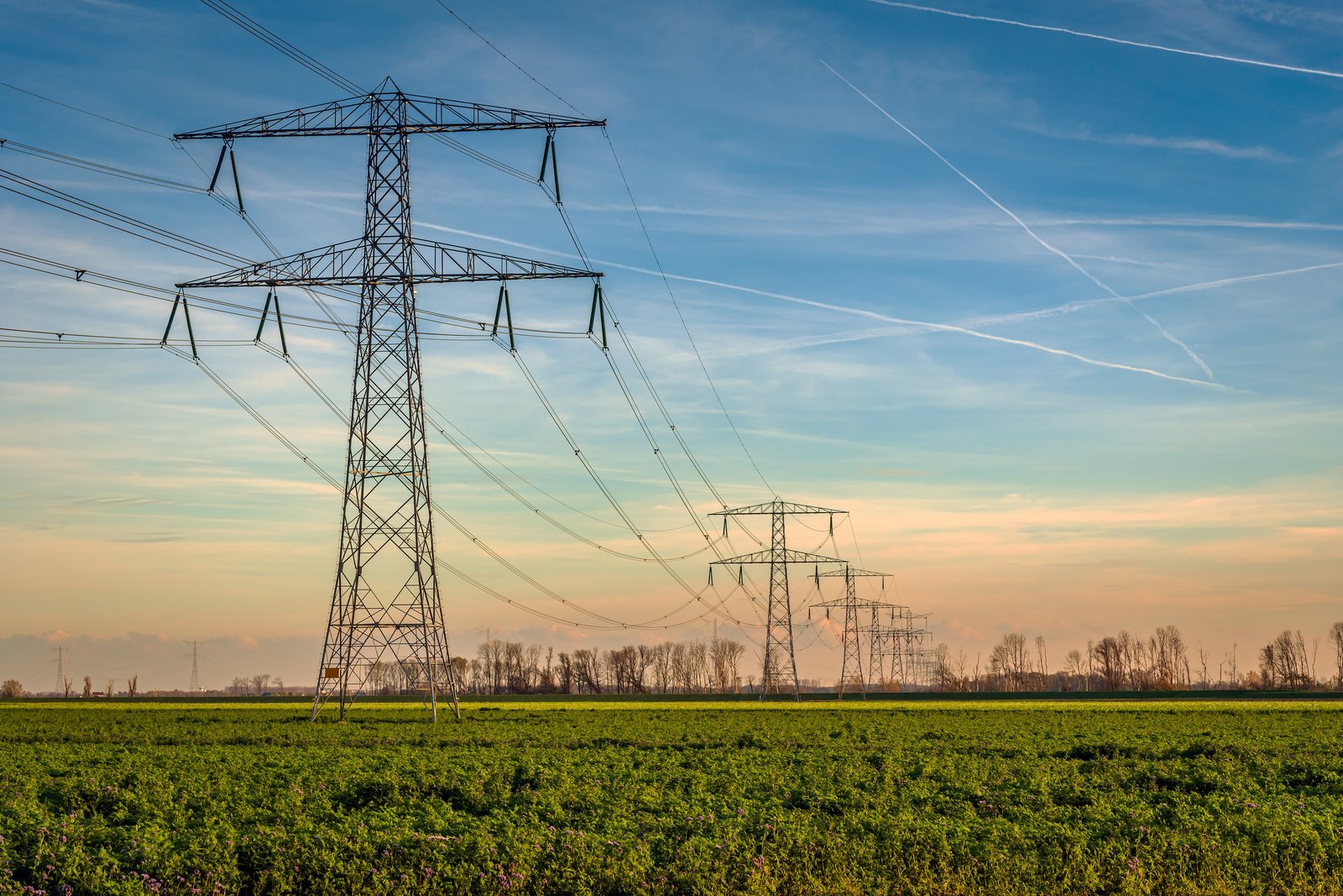 Hoogspanningsmast in een weiland